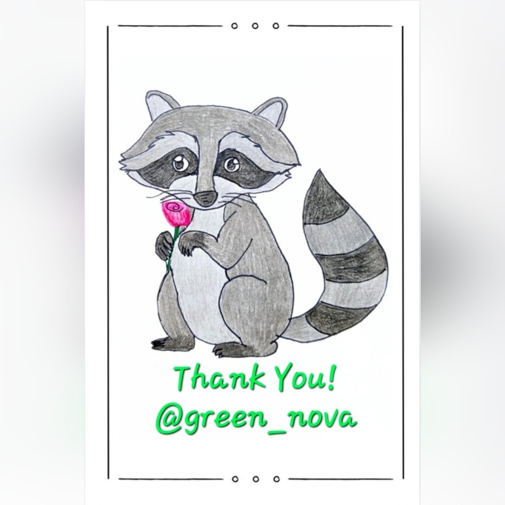 @green_nova Raccoon Business Thank You Cards 50pk